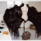atelier4